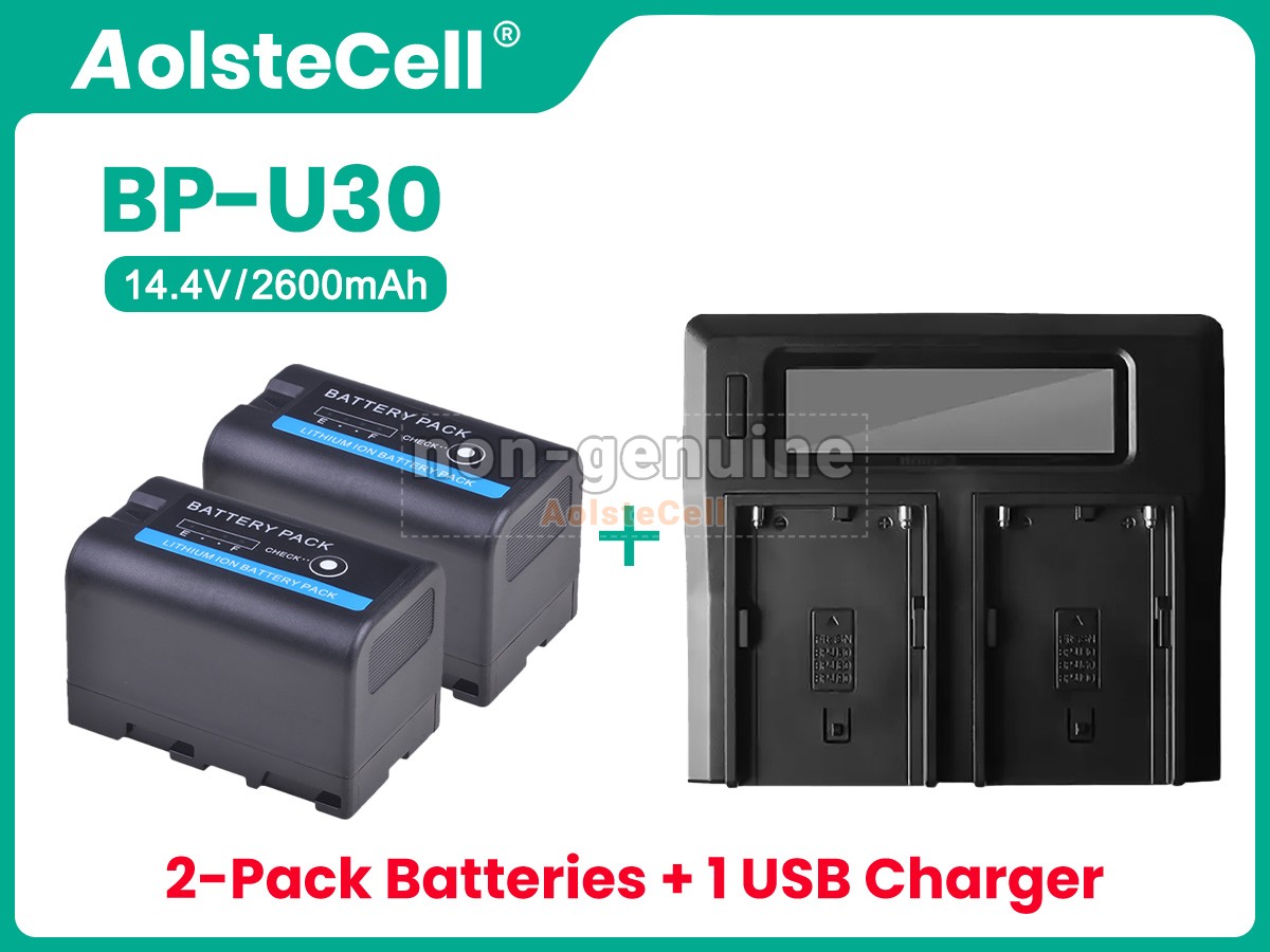 BP-U30