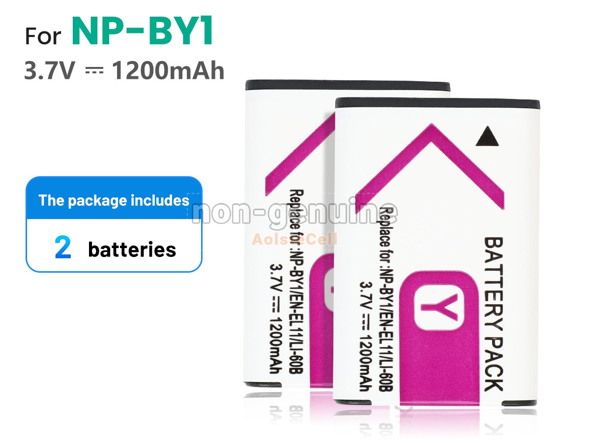 NP-BY1-2PCS