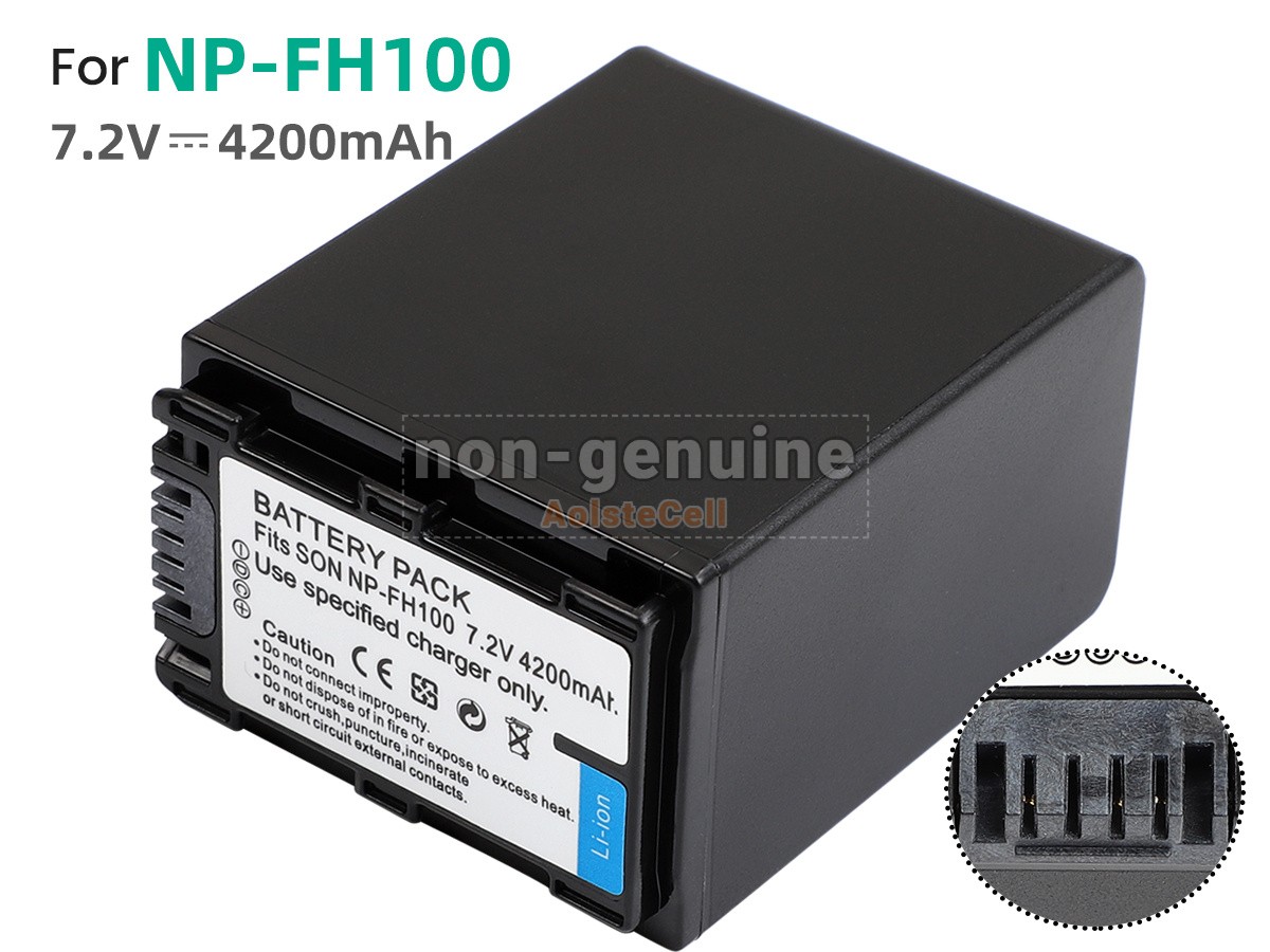 NP-FH100