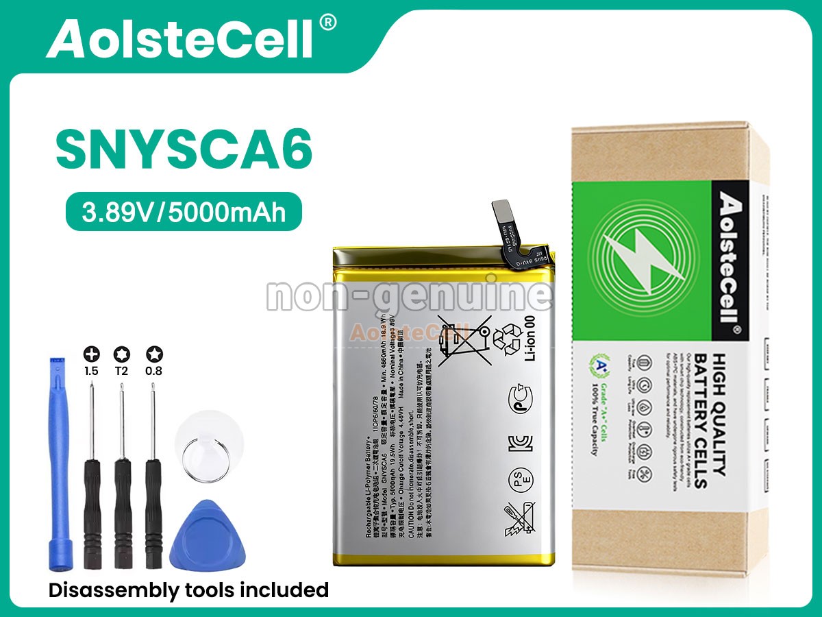 SNYSCA6