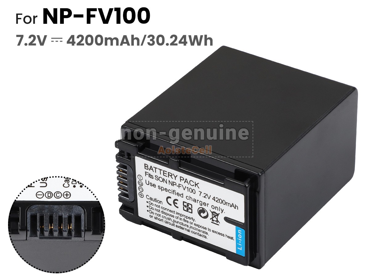 NP-FV100