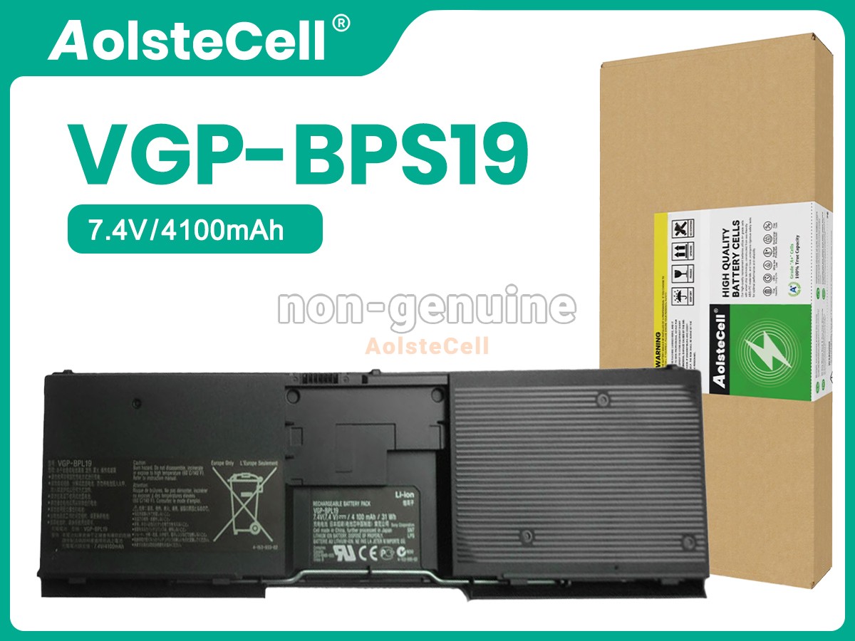 VGP-BPS19