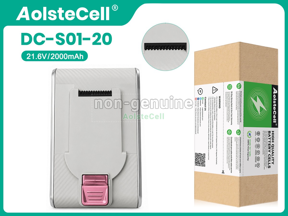 DC-S01-20