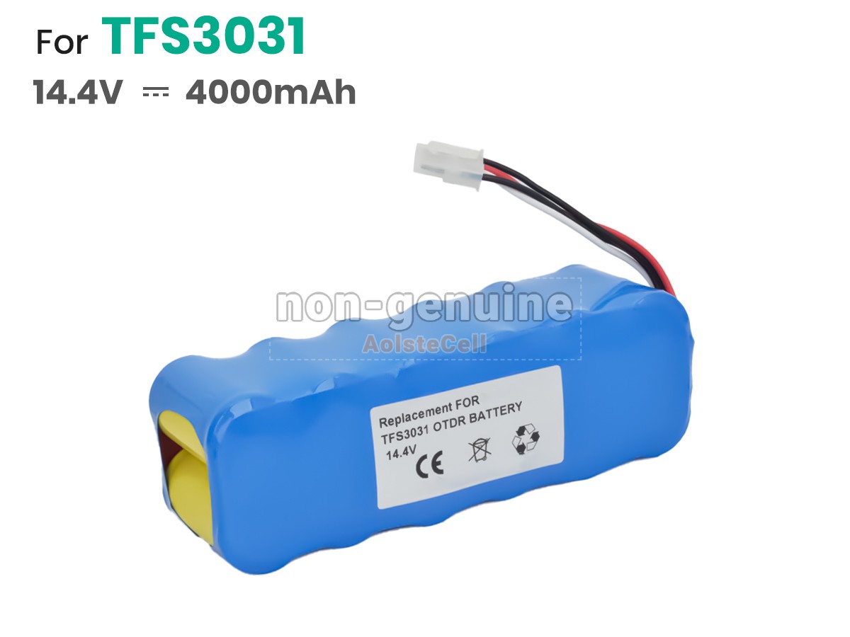 TFS3031