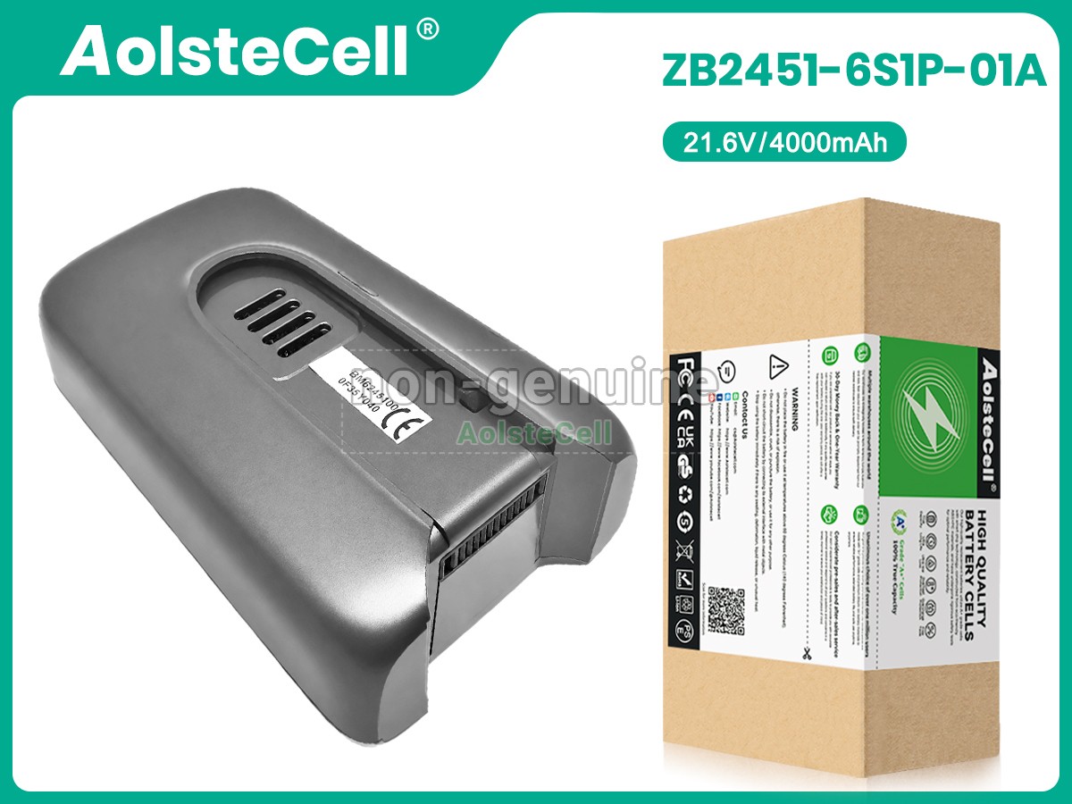 ZB2451-6S1P-01A