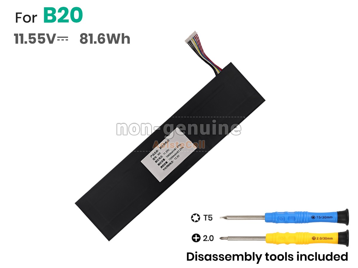 B20