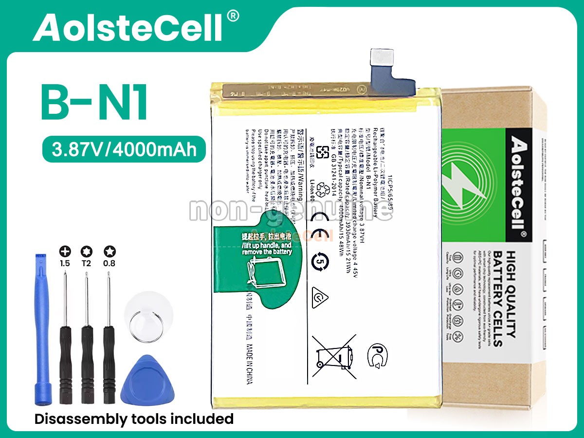 B-N1