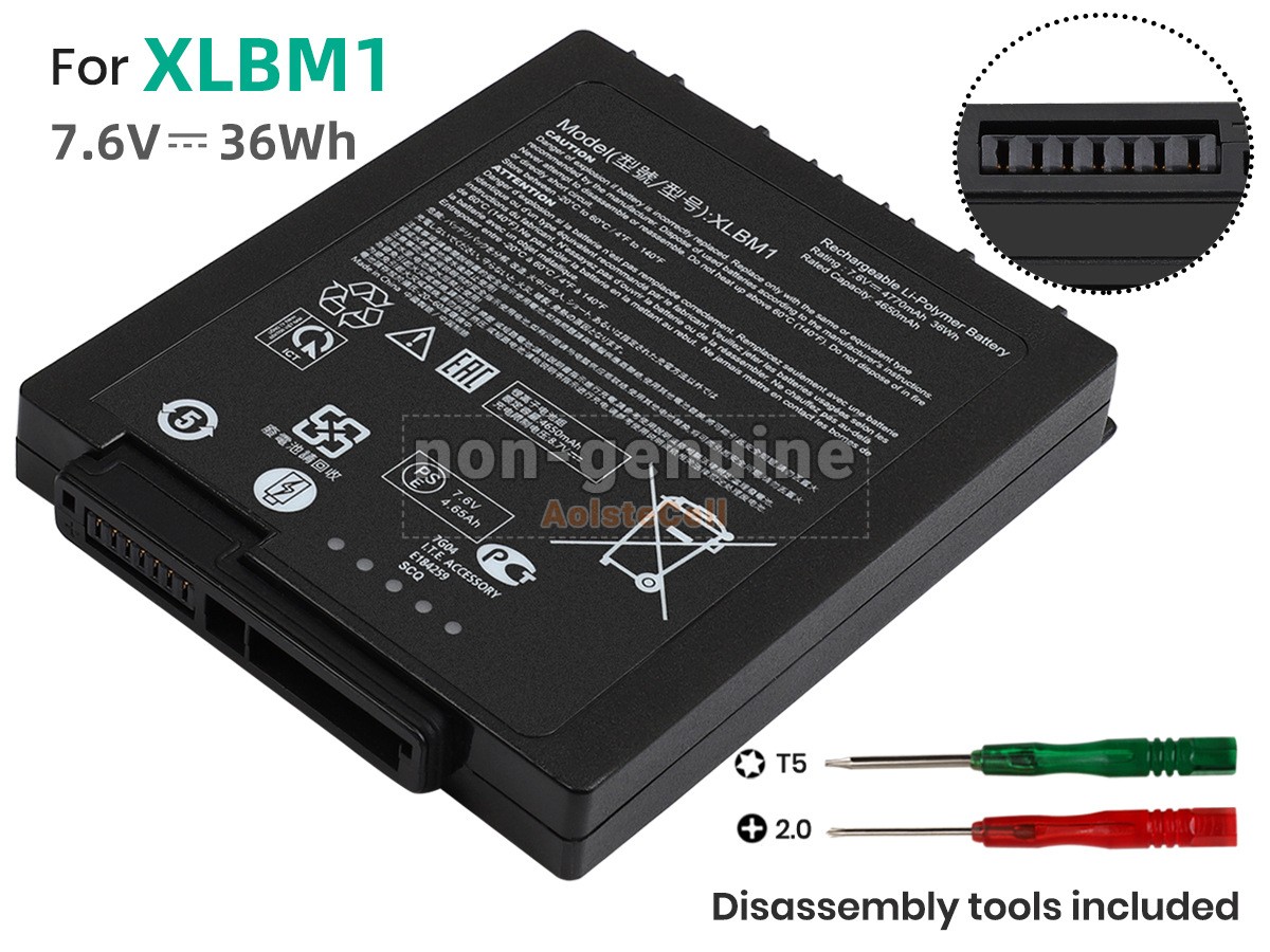 XLBM1